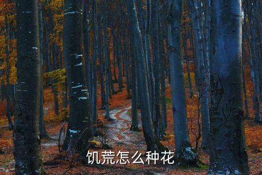饥荒怎么种花