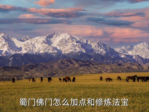 蜀门佛门怎么加点和修炼法宝