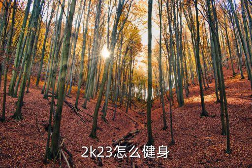 2k22手游健身房怎么锻炼，从塘厦天桥到茶山镇南社村怎么走