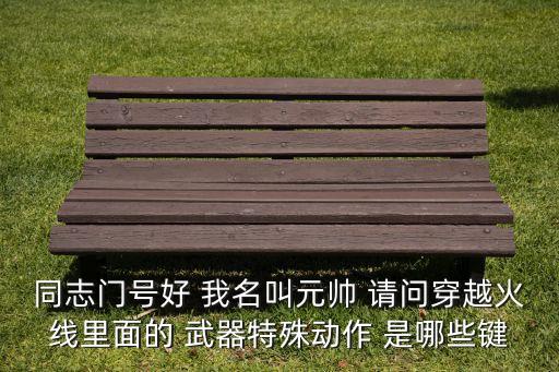 同志门号好 我名叫元帅 请问穿越火线里面的 武器特殊动作 是哪些键