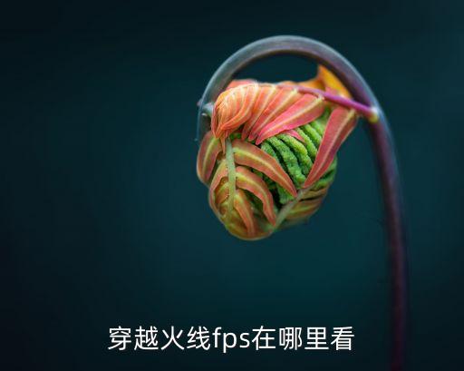 cf手游fps怎么显示出来，穿越火线fps在哪里看