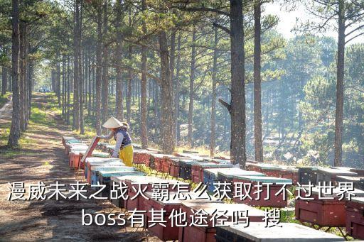 漫威未来之战灭霸怎么获取打不过世界boss有其他途径吗  搜