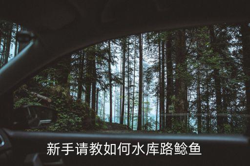 新手请教如何水库路鲶鱼