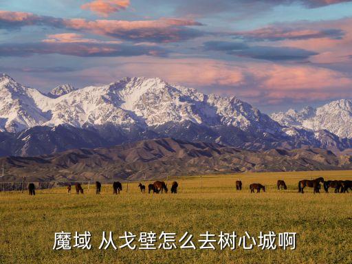 魔域 从戈壁怎么去树心城啊