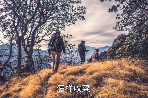怎样收菜
