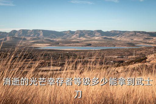 消逝的光芒幸存者等级多少能拿到武士刀