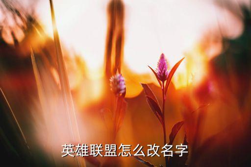 英雄联盟外服手游怎么修改名字，LOL英雄联盟怎么改名字