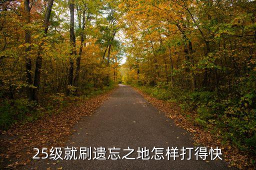 25级就刷遗忘之地怎样打得快