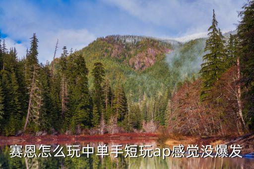 赛恩怎么玩中单手短玩ap感觉没爆发