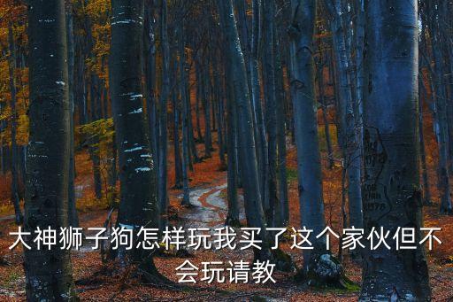 大神狮子狗怎样玩我买了这个家伙但不会玩请教