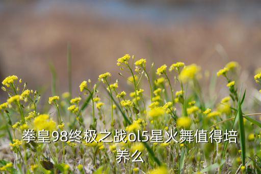 拳皇98手游版不知火舞怎么选，拳皇98终极之战ol5星火舞值得培养么