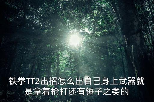 铁拳TT2出招怎么出自己身上武器就是拿着枪打还有锤子之类的