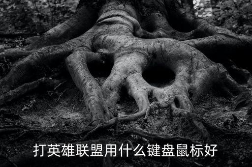 打英雄联盟用什么键盘鼠标好