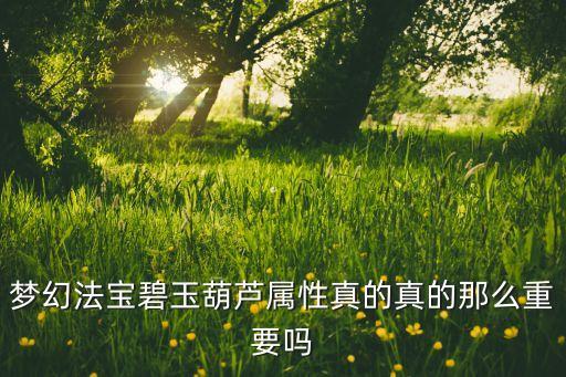 梦幻法宝碧玉葫芦属性真的真的那么重要吗