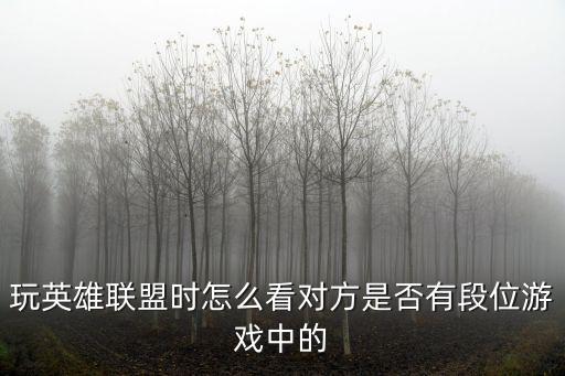英雄联盟手游怎么看别人段位点数，英雄联盟游戏中怎么对方的段位