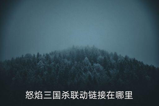 怒焰三国杀联动链接在哪里