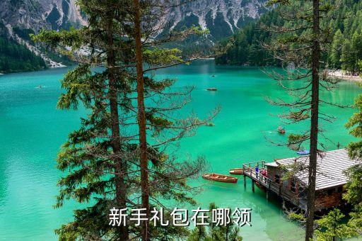 新手礼包在哪领