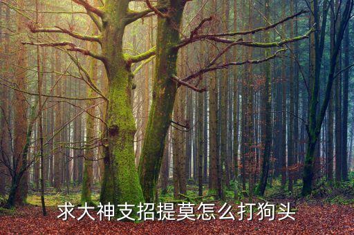 求大神支招提莫怎么打狗头