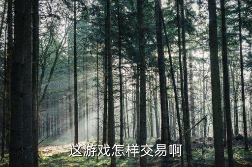这游戏怎样交易啊