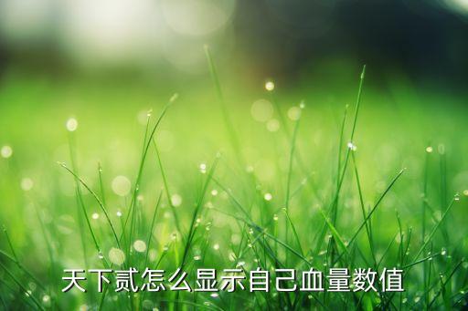 天下贰怎么显示自己血量数值