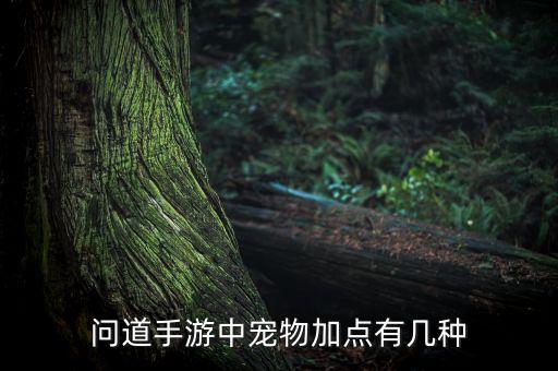 问道手游中宠物加点有几种