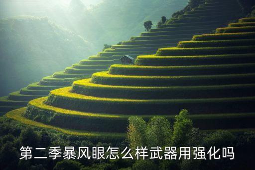 第二季暴风眼怎么样武器用强化吗