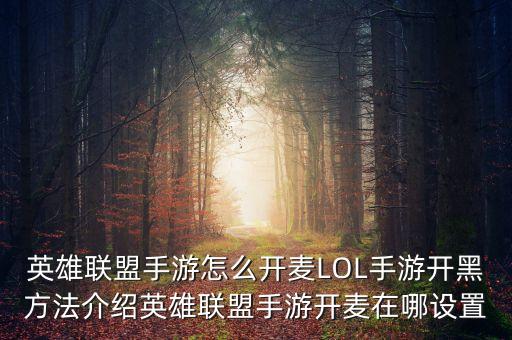 玩lol手游怎么才能微信语音，lol手游为什么打微信语音听不见