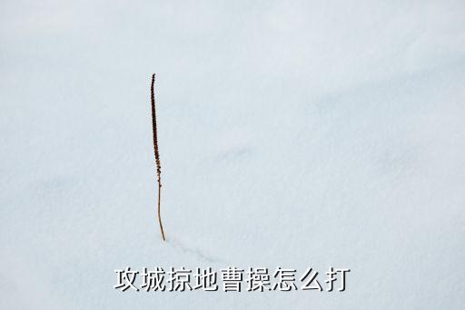 攻城掠地曹操怎么打