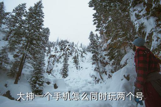 大神一个手机怎么同时玩两个号