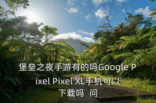 堡垒之夜手游有的吗Google Pixel Pixel XL手机可以下载吗 问
