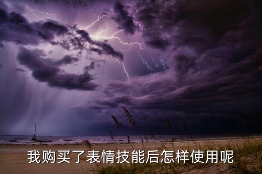 我购买了表情技能后怎样使用呢