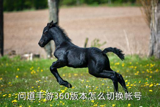 问道手游版本怎么转移号，问道手游360版本怎么切换帐号