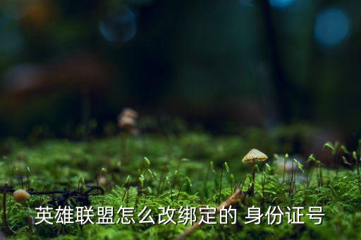 英雄联盟怎么改绑定的 身份证号