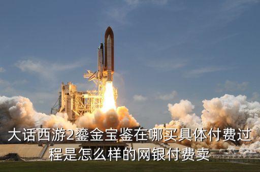 大话西游2鎏金宝鉴在哪买具体付费过程是怎么样的网银付费卖