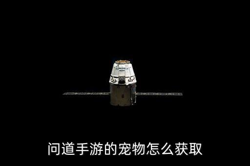 问道手游的宠物怎么获取
