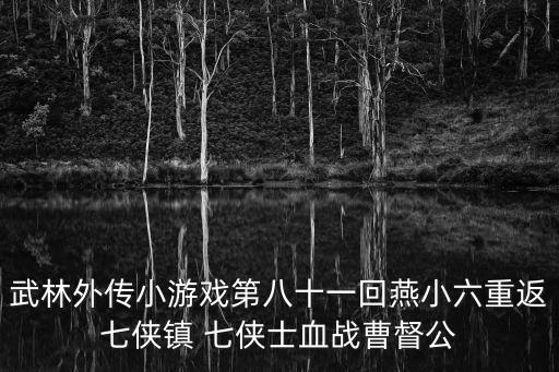 武林外传小游戏第八十一回燕小六重返七侠镇 七侠士血战曹督公