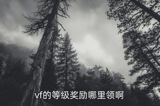 vf的等级奖励哪里领啊