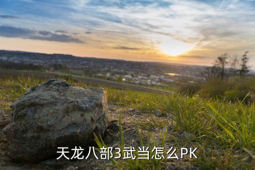 天龙八部3武当怎么PK