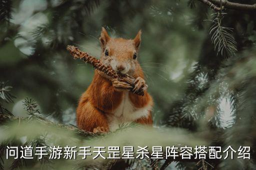 问道手游新手天罡星杀星阵容搭配介绍