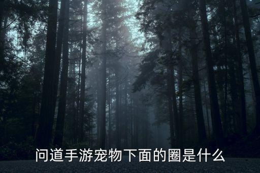 问道手游宠物下面的圈是什么