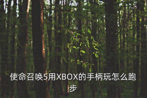 使命召唤5用XBOX的手柄玩怎么跑步