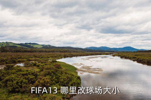 FIFA13 哪里改球场大小