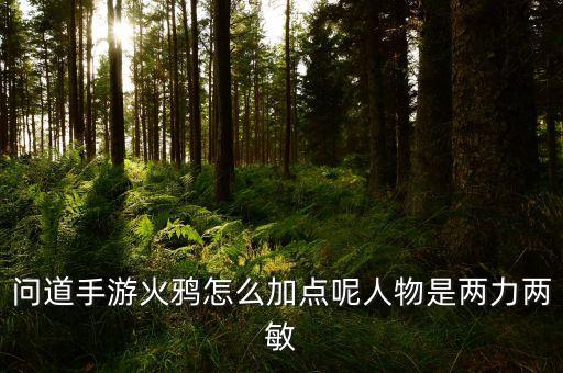 问道手游火鸦怎么加点呢人物是两力两敏