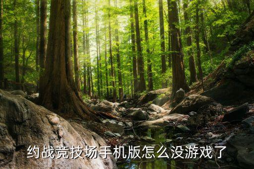 约战竞技场手机版怎么没游戏了