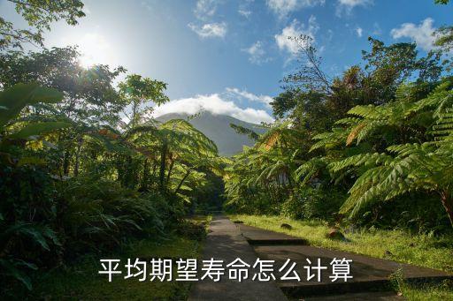 平均期望寿命怎么计算