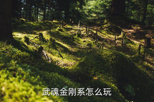 热血江湖手游中的武魂怎么玩，武魂自创武官怎么玩的呀