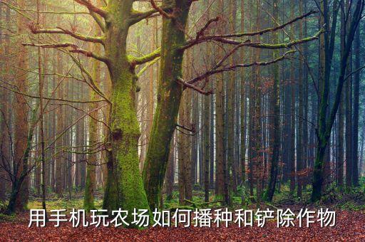 用手机玩农场如何播种和铲除作物