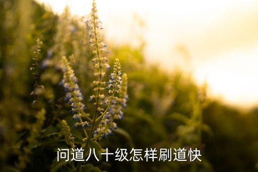 问道八十级怎样刷道快