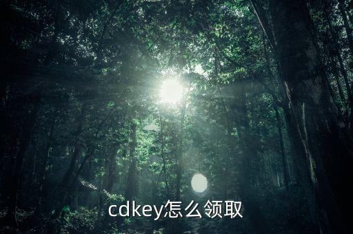 cdkey怎么领取