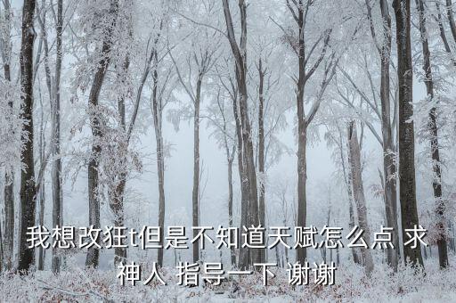 我想改狂t但是不知道天赋怎么点 求神人 指导一下 谢谢